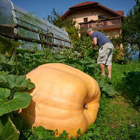 Tourist Farm Kolar Villa Ljubno Eksteriør bilde