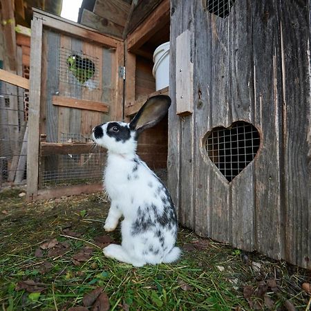 Tourist Farm Kolar Villa Ljubno Eksteriør bilde
