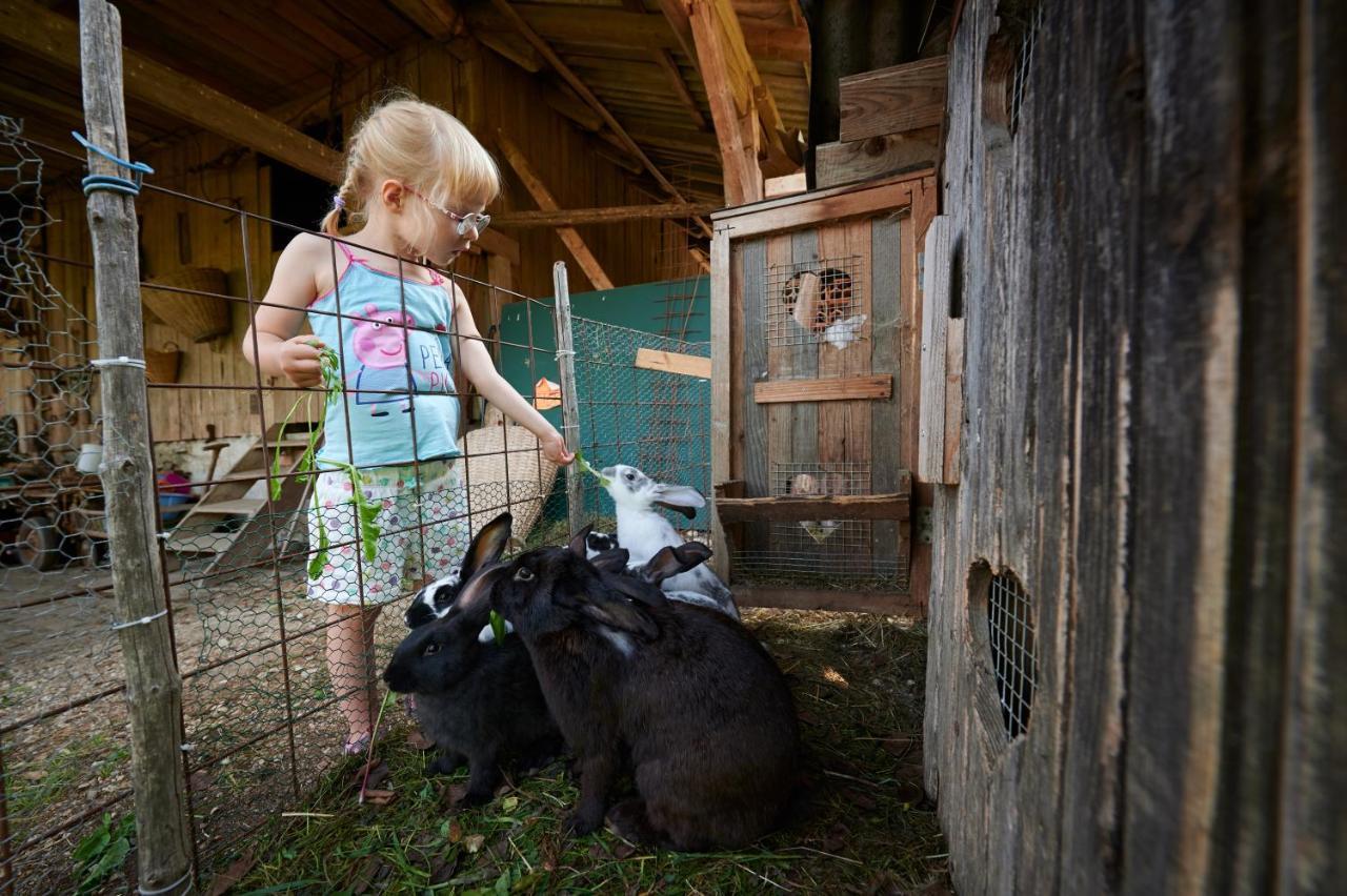 Tourist Farm Kolar Villa Ljubno Eksteriør bilde