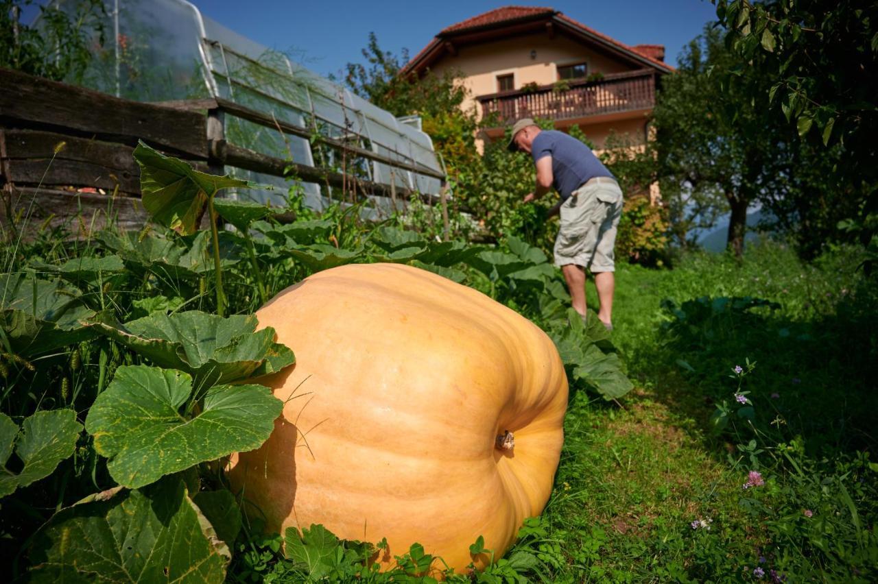 Tourist Farm Kolar Villa Ljubno Eksteriør bilde